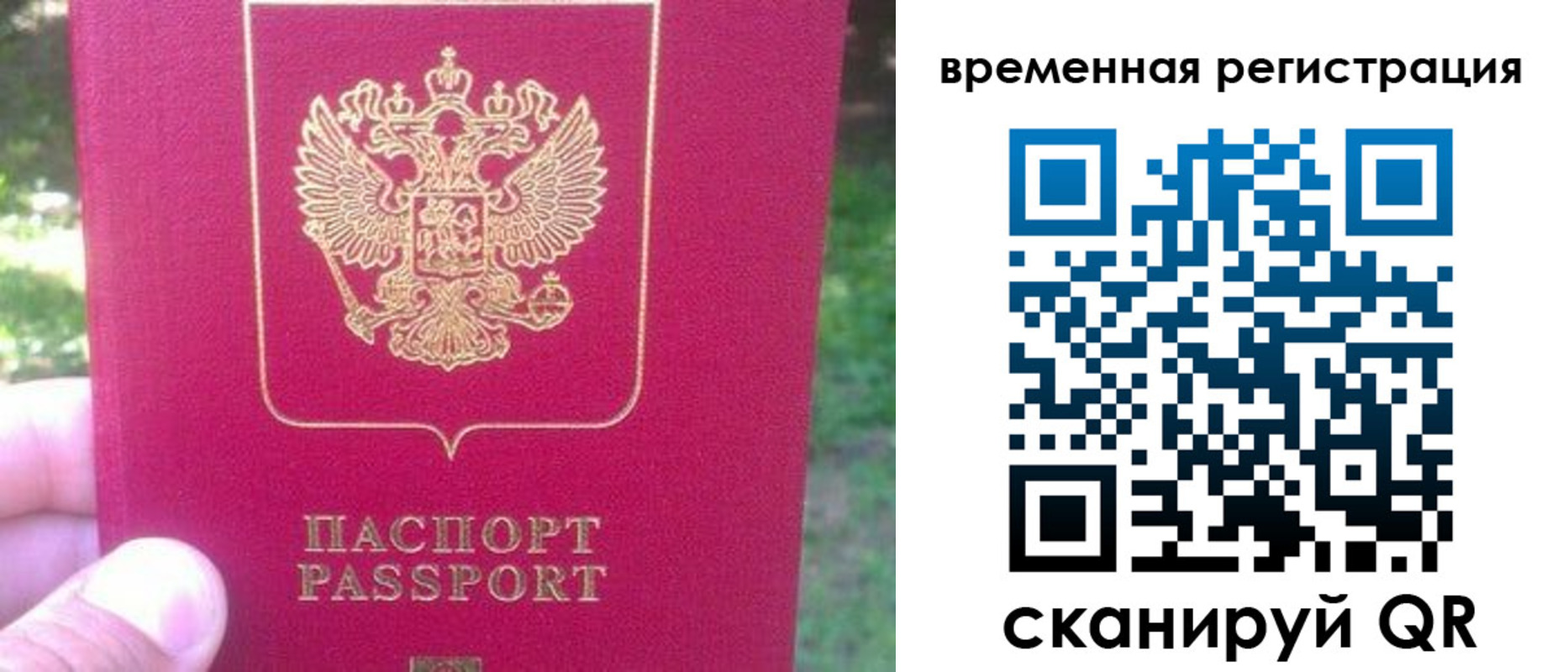 временная регистрация для школы в Волгоградской области